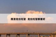 鹰潭竞价托管  竞价托管那里好