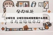 公域引流  公域引流私域变现是什么意思
