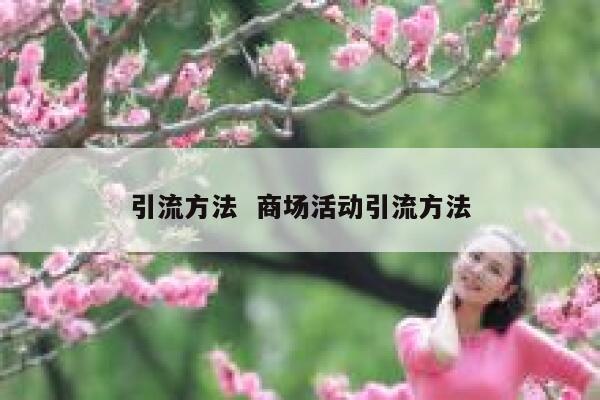 引流方法  商场活动引流方法 第1张