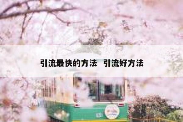 引流最快的方法  引流好方法 第1张