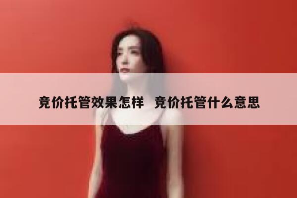 竞价托管效果怎样  竞价托管什么意思
