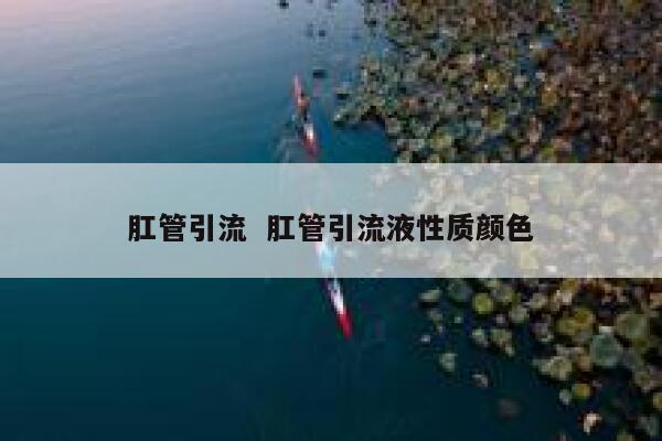 肛管引流 肛管引流液性质颜色