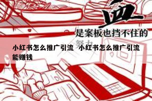 小红书怎么推广引流  小红书怎么推广引流能赚钱 第1张