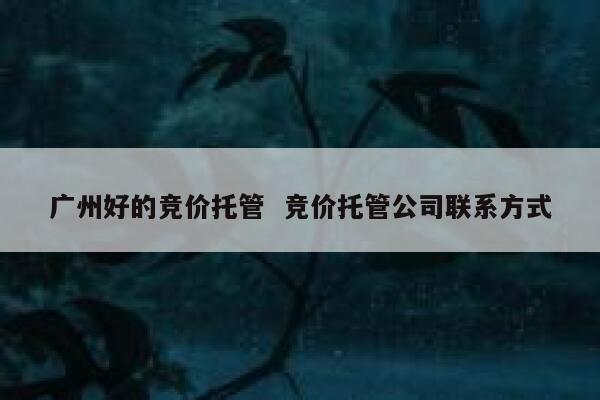 广州好的竞价托管 竞价托管公司联系方式
