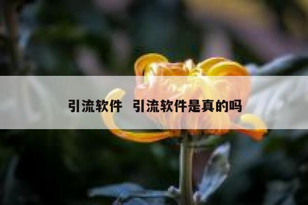 引流软件  引流软件是真的吗 第1张