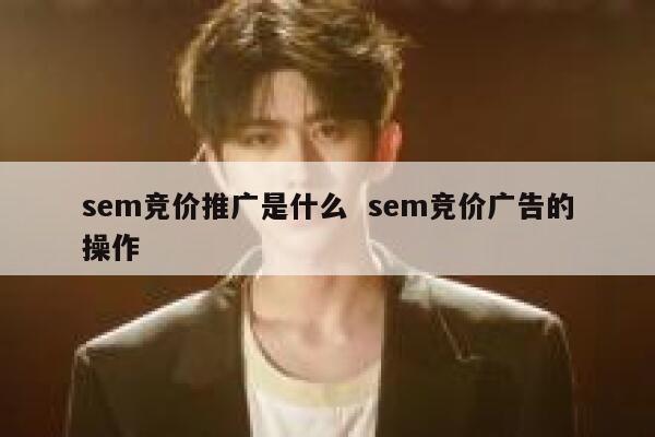 sem竞价推广是什么  sem竞价广告的操作 第1张