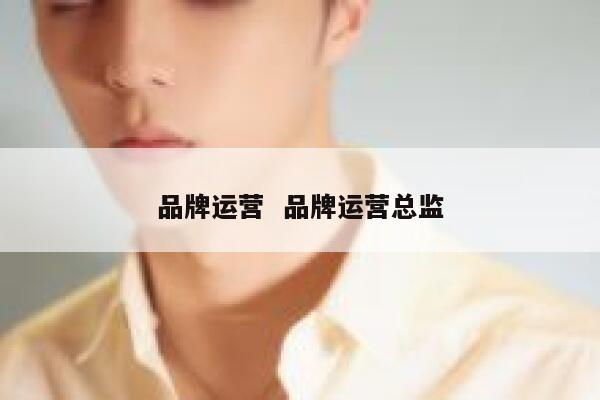 品牌运营  品牌运营总监 第1张