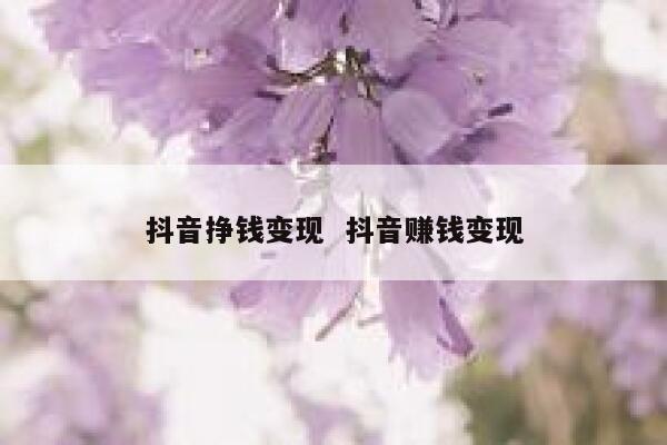 抖音挣钱变现  抖音赚钱变现 第1张