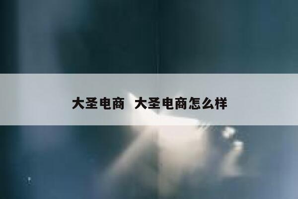 大圣电商  大圣电商怎么样 第1张