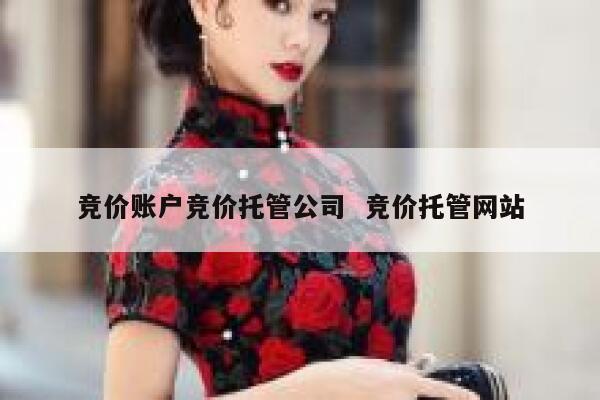 竞价账户竞价托管公司  竞价托管网站