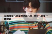 湖南竞价托管案例凯越托管  竞价托管推广哪家好