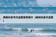 陕西抖音号代运营商家排行（咸阳抖音代运营）