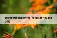 竞价托管策划案例分析  竞价托管一般要多少钱