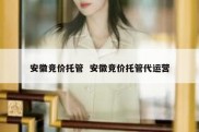 安徽竞价托管  安徽竞价托管代运营