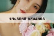 老河口竞价托管  老河口土地拍卖