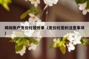 揭阳账户竞价托管效果（竞价托管的注意事项）