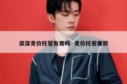资深竞价托管有用吗  竞价托管兼职
