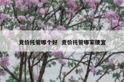 竞价托管哪个好  竞价托管哪家便宜
