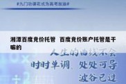 湘潭百度竞价托管  百度竞价账户托管是干嘛的