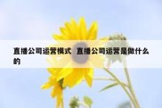 直播公司运营模式  直播公司运营是做什么的