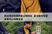 武汉竞价托管外包公司排名  武汉股权托管交易中心挂牌企业