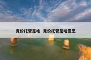 竞价托管是啥  竞价托管是啥意思
