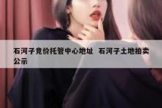 石河子竞价托管中心地址  石河子土地拍卖公示