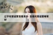 辽宁托管运营百度竞价  百度托管运营哪家好