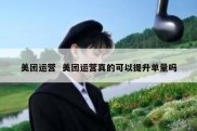 美团运营  美团运营真的可以提升单量吗