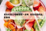 竞价托管公司哪家好一点啊  竞价托管的注意事项