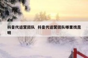 抖音代运营团队  抖音代运营团队哪里找昆明