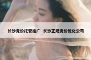 长沙竞价托管推广  长沙正规竞价优化公司