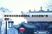 西安竞价托管关键词排名  竞价托管推广哪家好