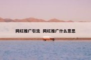 网红推广引流  网红推广什么意思