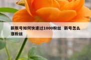 新账号如何快速过1000粉丝  新号怎么涨粉丝