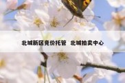 北城新区竞价托管  北城拍卖中心