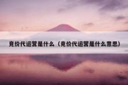 竞价代运营是什么（竞价代运营是什么意思）