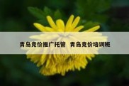 青岛竞价推广托管  青岛竞价培训班