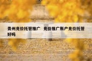 贵州竞价托管推广  竞价推广账户竞价托管好吗
