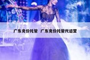 广东竞价托管  广东竞价托管代运营