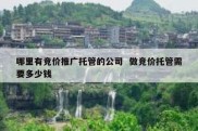 哪里有竞价推广托管的公司  做竞价托管需要多少钱