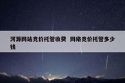 河源网站竞价托管收费  网络竞价托管多少钱