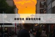 新客引流  新客引流方案