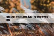 河北sem竞价托管哪家好  竞价托管专业团队