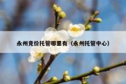 永州竞价托管哪里有（永州托管中心）