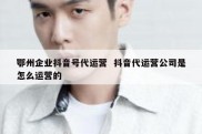 鄂州企业抖音号代运营  抖音代运营公司是怎么运营的