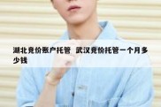 湖北竞价账户托管  武汉竞价托管一个月多少钱
