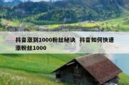 抖音涨到1000粉丝秘诀  抖音如何快速涨粉丝1000
