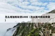 怎么增加粉丝到1000（怎么提升粉丝数量）