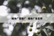 媒体广告推广  媒体广告宣传